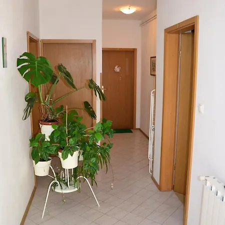 Green Apartments Apartmán