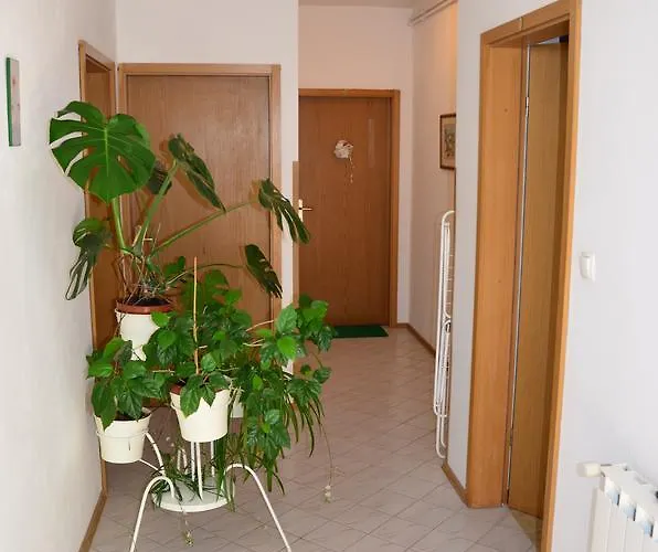 Green Apartments דירה